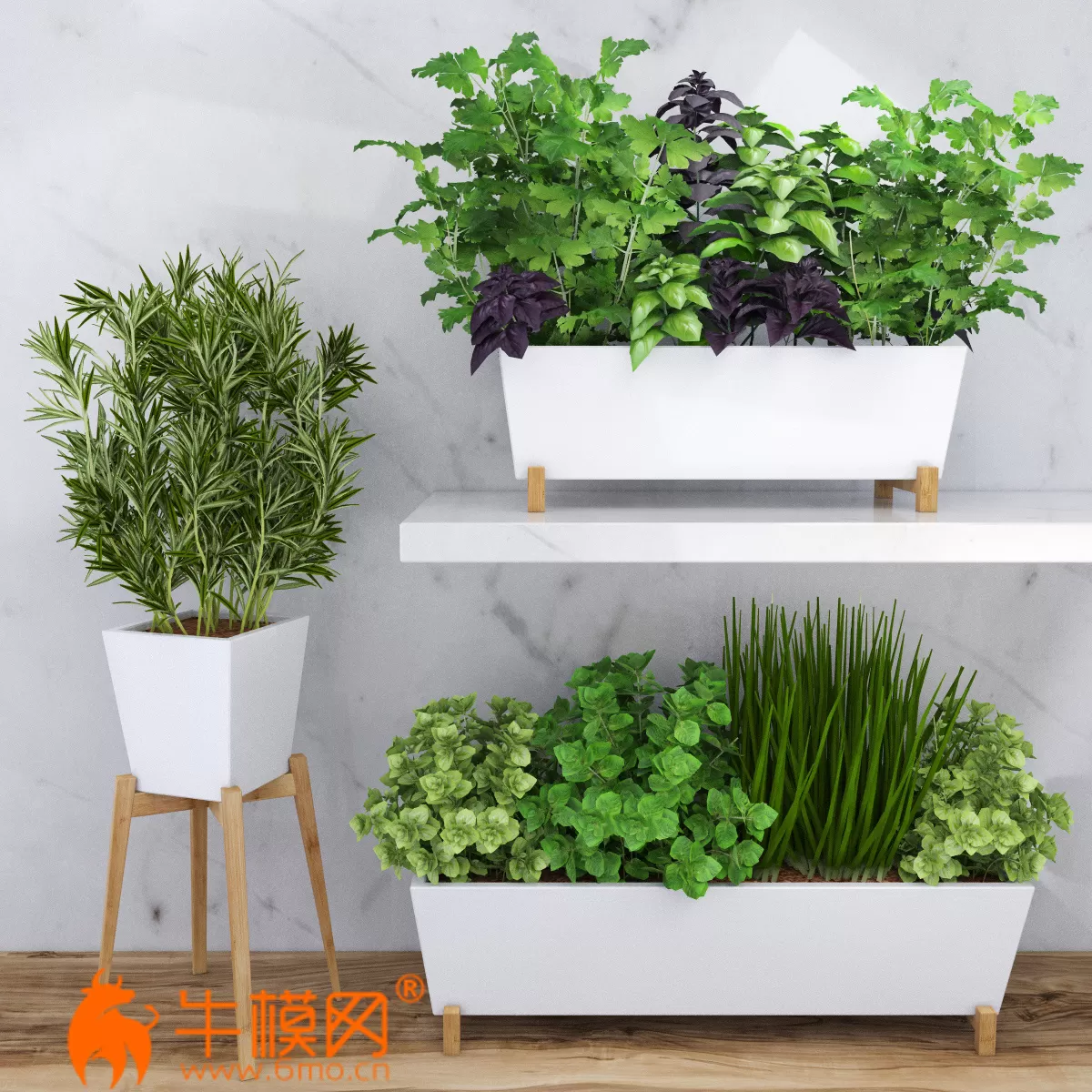 Spicy herbs for the kitchen in ceramic pots – 5164