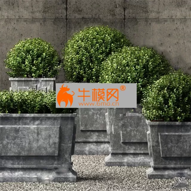 291. Plant 3dsmax Model – 5657