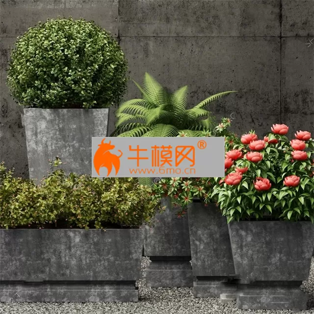 292. Plant 3dsmax Model – 5658