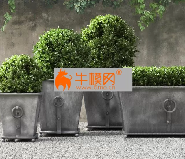 368. Plant 3dsmax Model – 5659