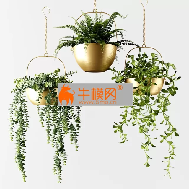 Ampel plants in bronze flower pots – 5661