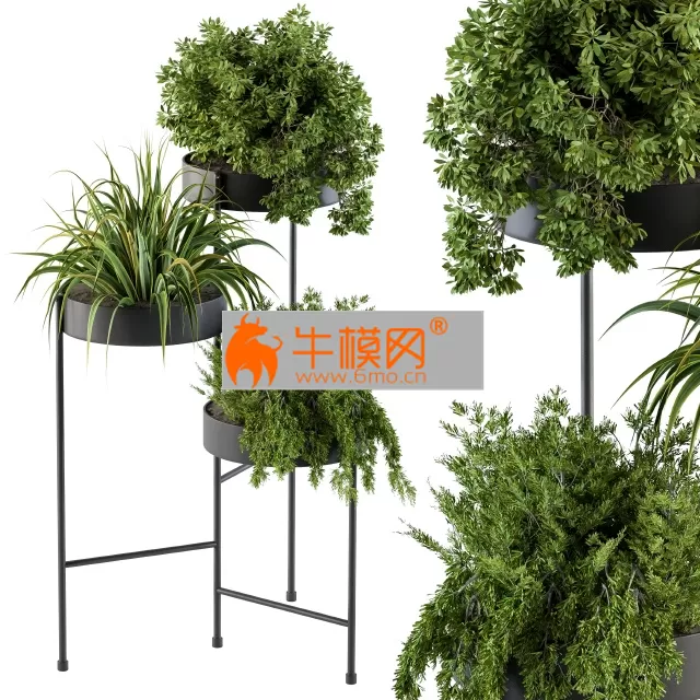 Black round plant box – 5665