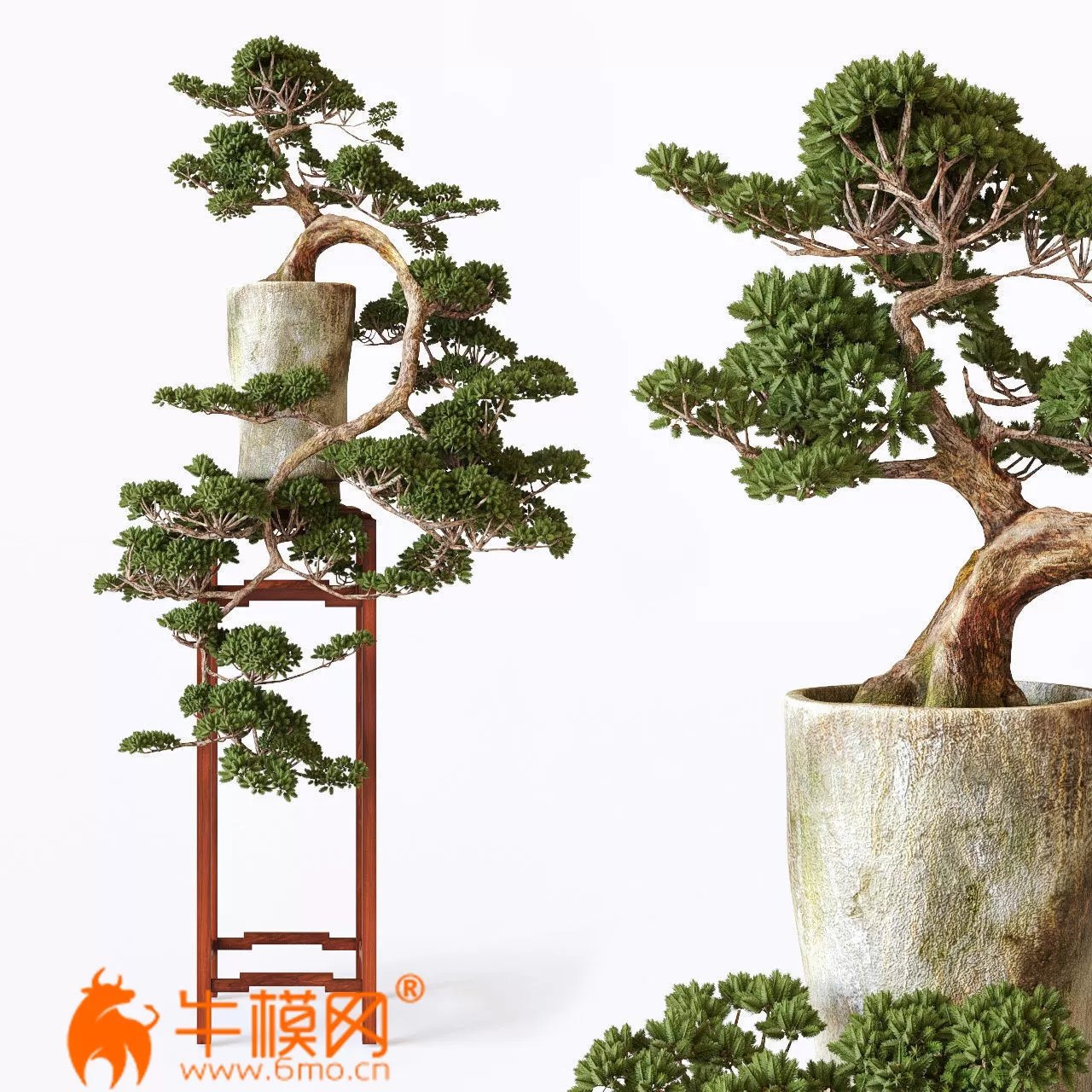 Bonsai 01 (max 2013 Vray, Coronz, fbx) – 5666