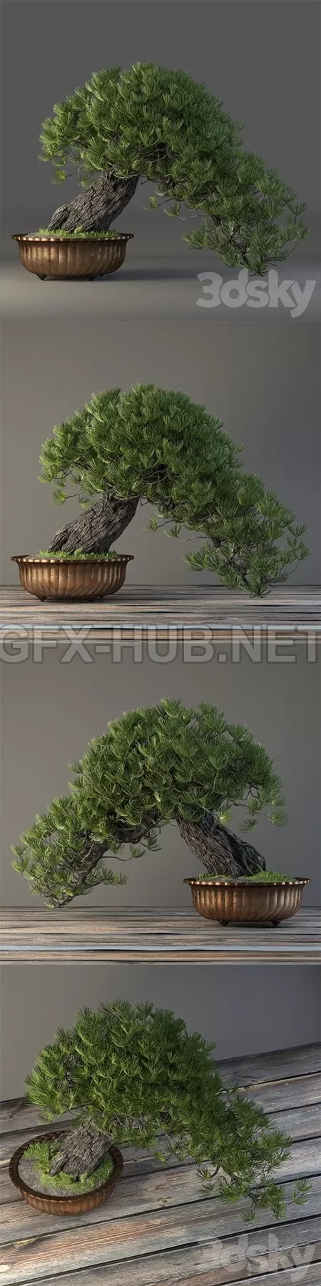 Bonsai in a copper pot – 5669