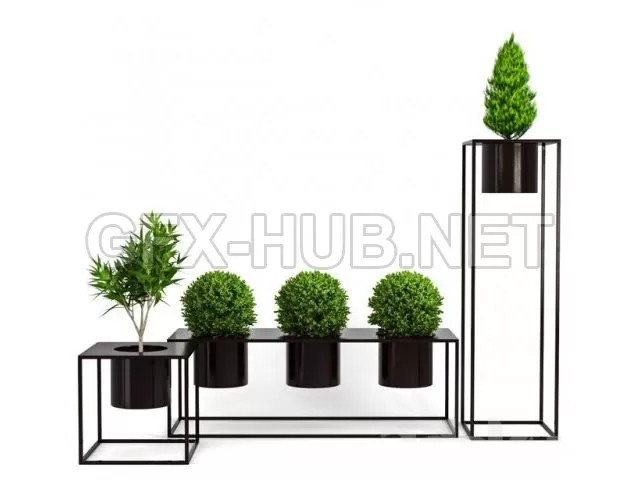 Box Plant (max, fbx) – 5672