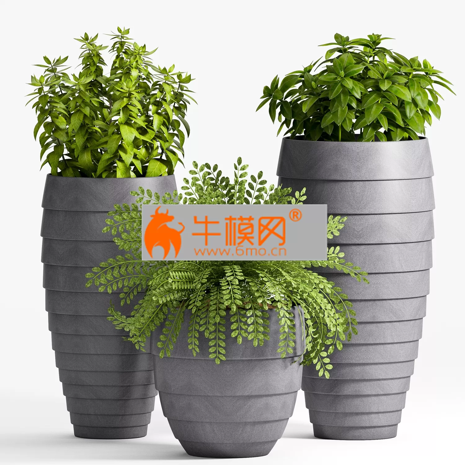 Decorative plant set-25 – 5692