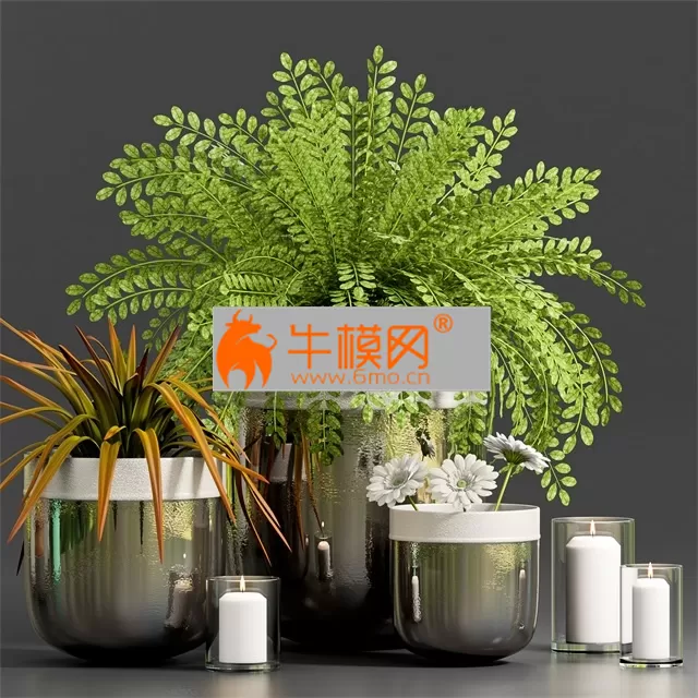 DECORATIVE PLANT WITH GERBERA FLOWER – 5693