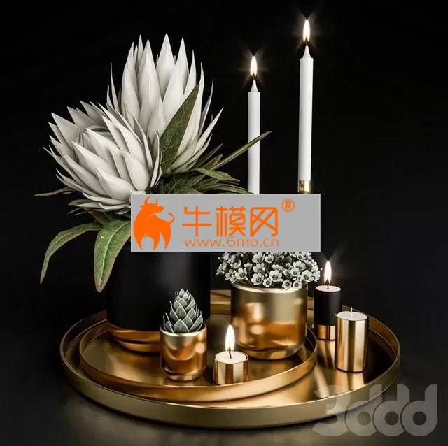 Decorative set with potted plants – 5696