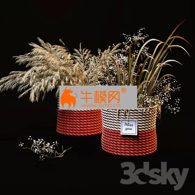 Field plants set – 5702
