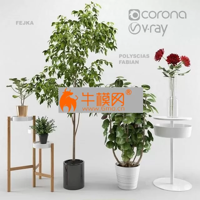 Ikea plants set – 5708