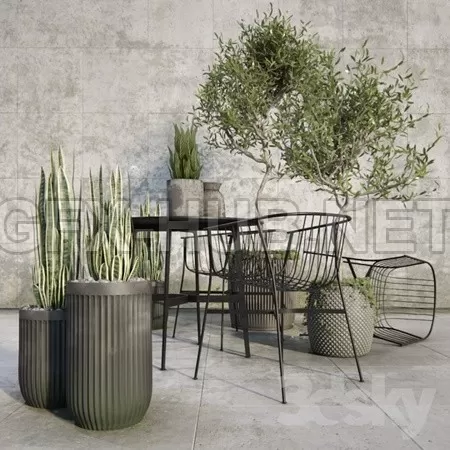 Outdoor plant set – 5718