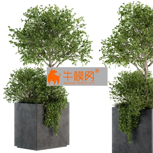 Outdoor Plants in Concrete Plant Box E Set 93 – 5721