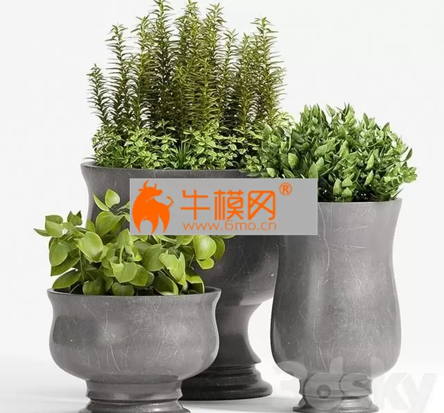 PLANT – 45 – 5728