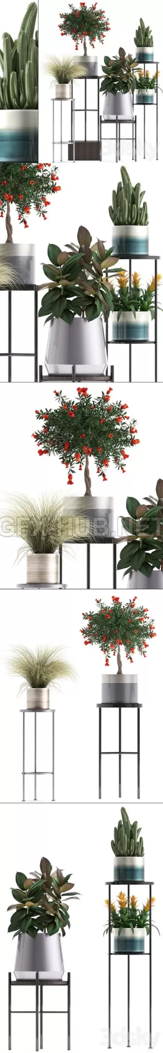 Plant collection 287 – 5744