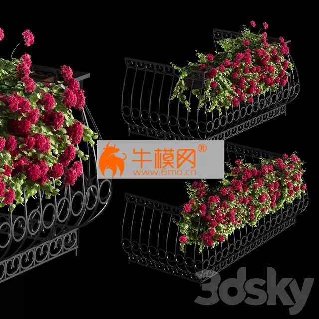 Plant Geranium for The Facade – 5763