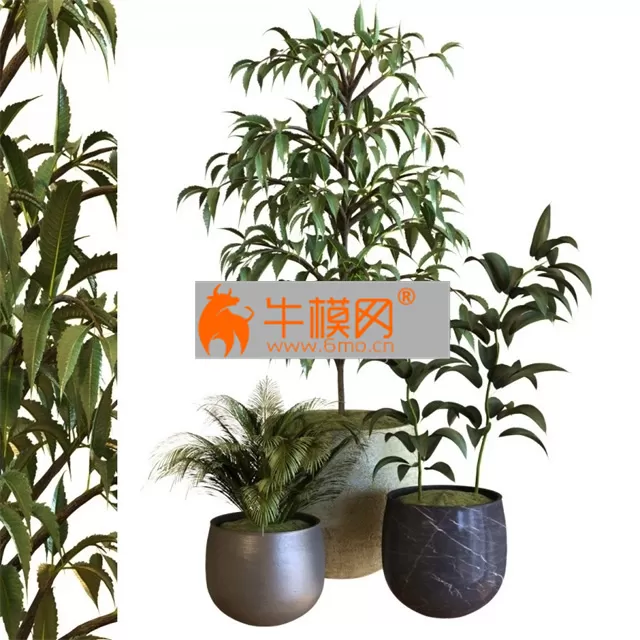 Plant In Box Set 040 – 5764