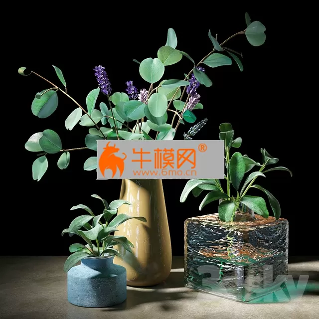 Plant set 05 – 5767