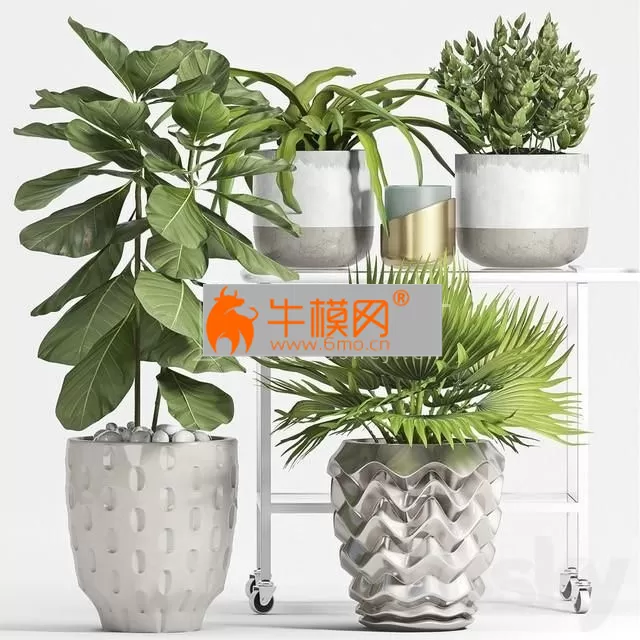 Plant Set 59 – 5768
