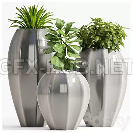 PLANT SET 70 – 5769