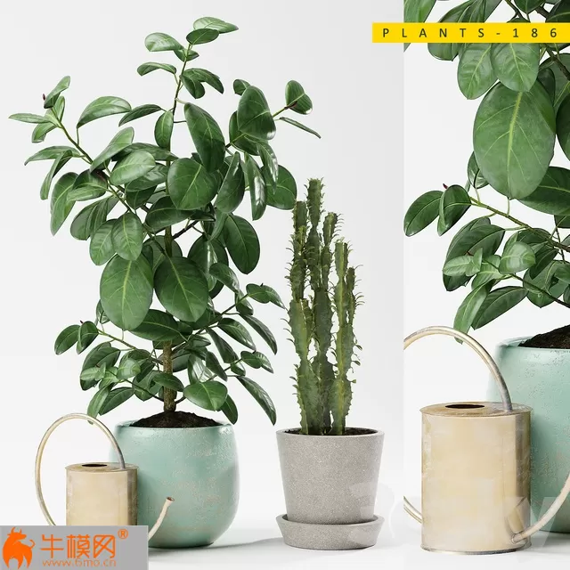 PLANTS 186 123 – 5787