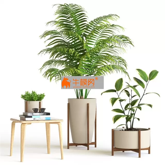 Plants 186 3d model – 5788