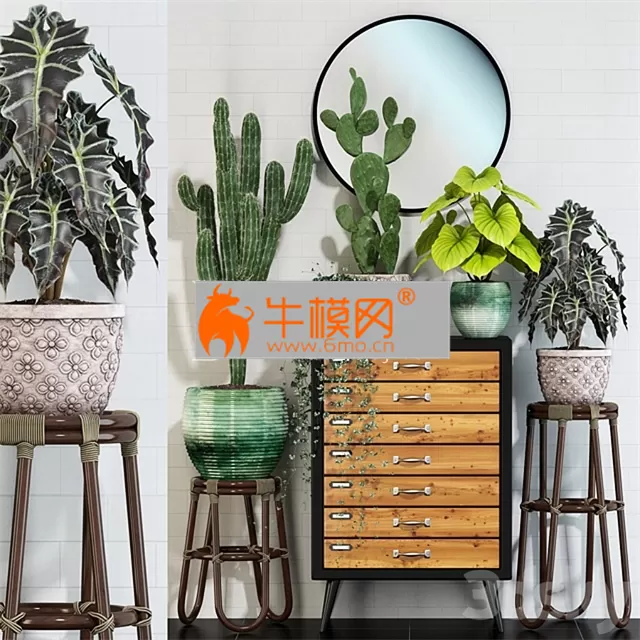 Plants collection 123 – 5799