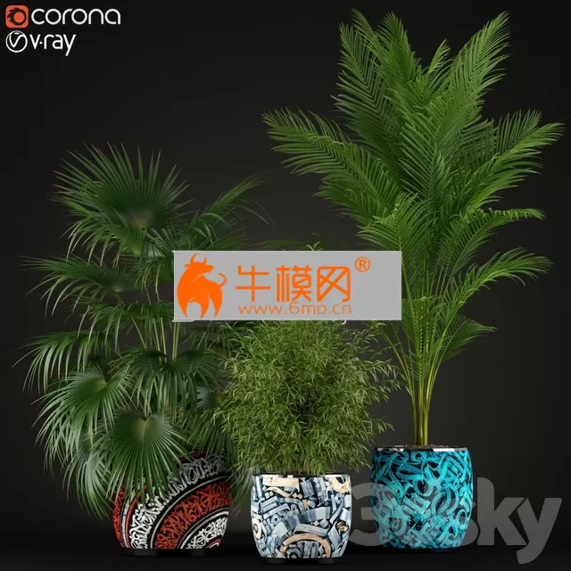 Plants collection 199 – 5805