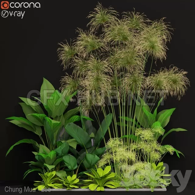 Plants collection 241 – 5808