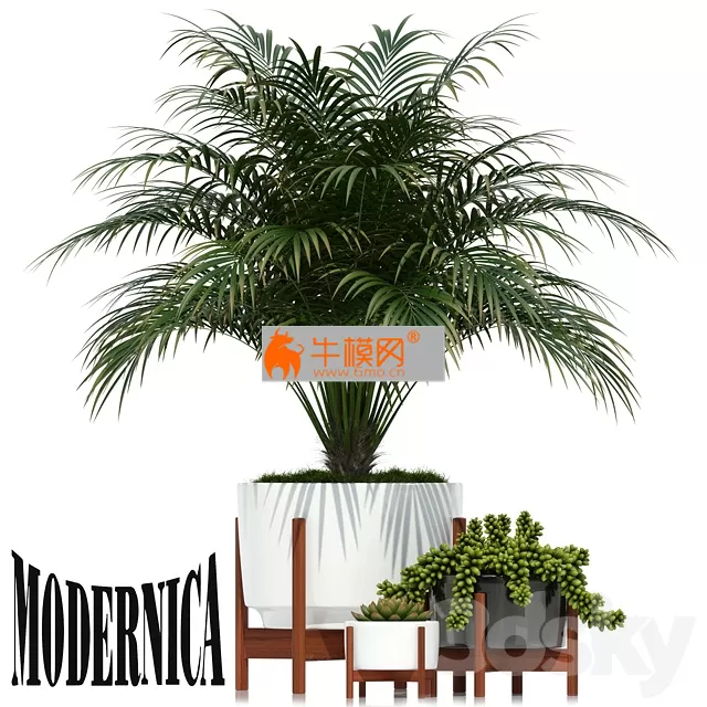 Plants collection 68 Modernica pots – 5812