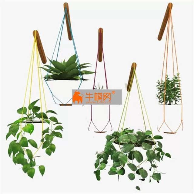 Pot Plant – 5825
