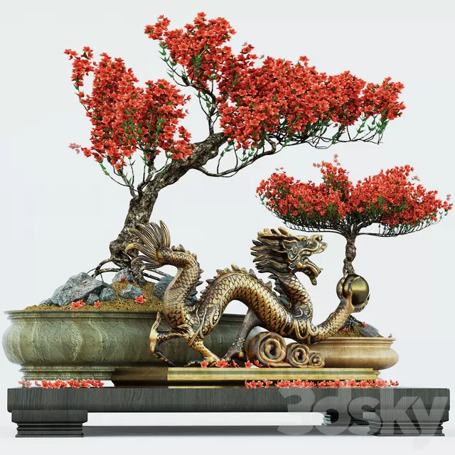 Semi bonsai – 5837