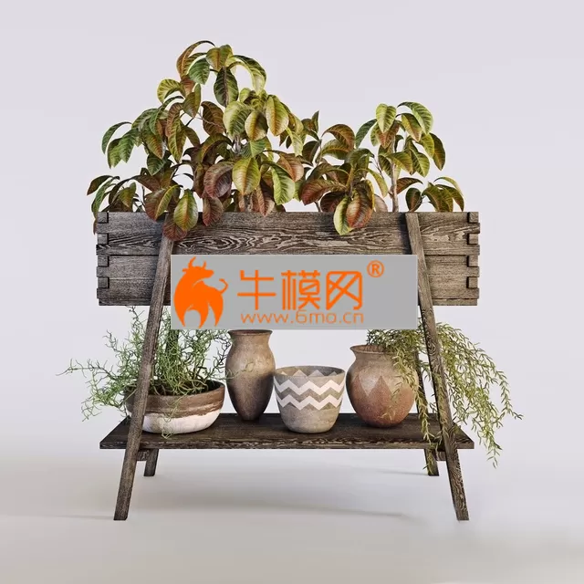 terrace-plants-3 – 5840