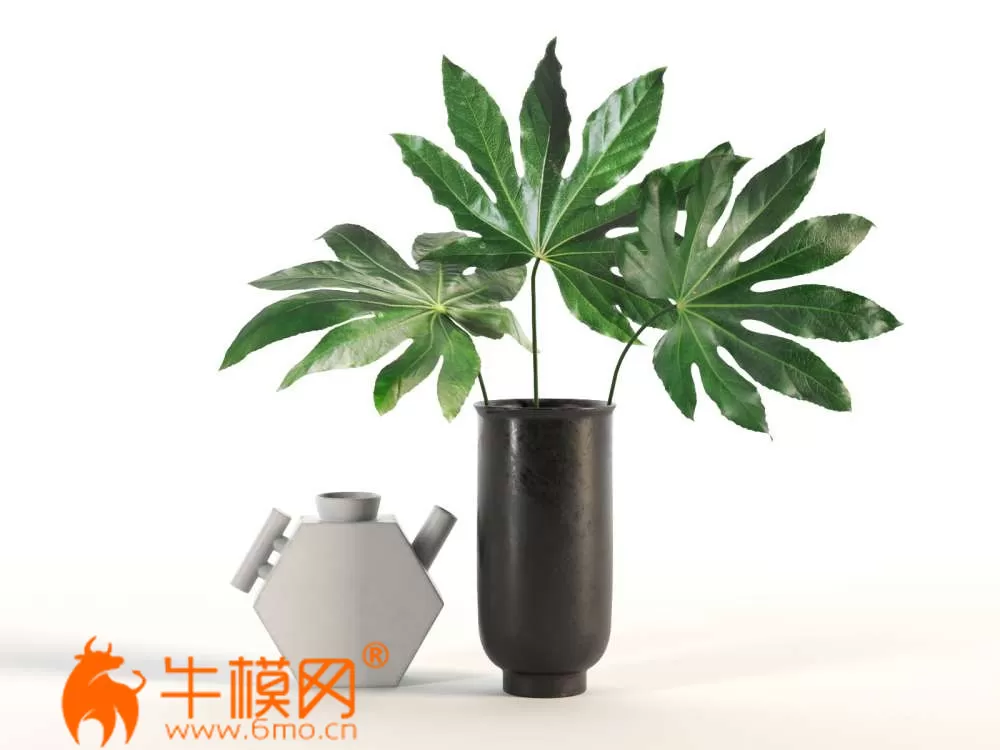 Aralia and Vases (max, fbx, obj) – 6615