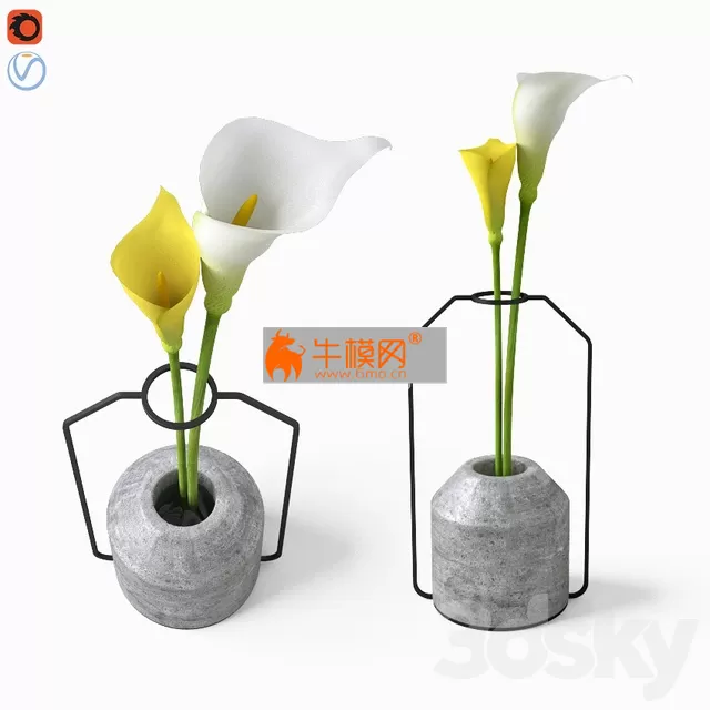Calla in Weight Vases by Decha Archjananu Callas – 6627
