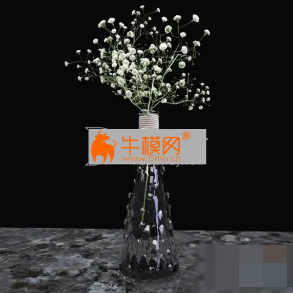 Gypsophila branch in a glass vase – 6636
