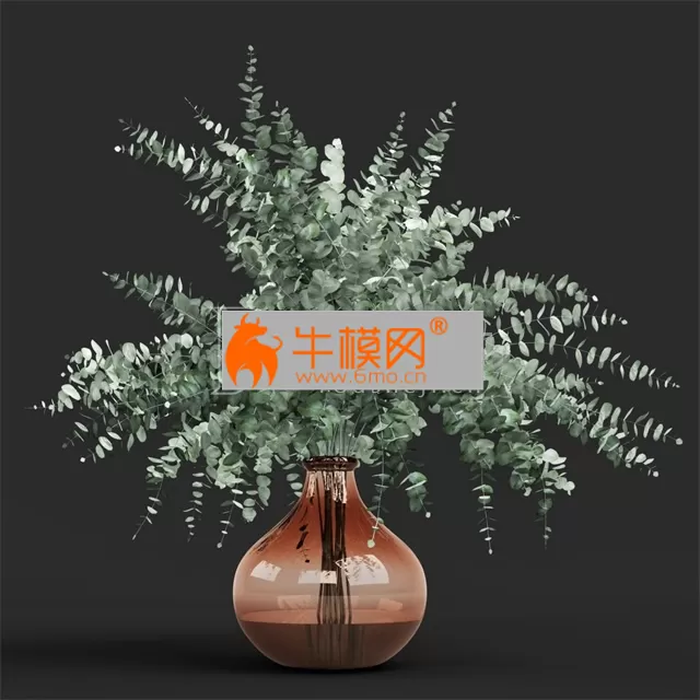 Vase eucalyptus cinerea – 6657