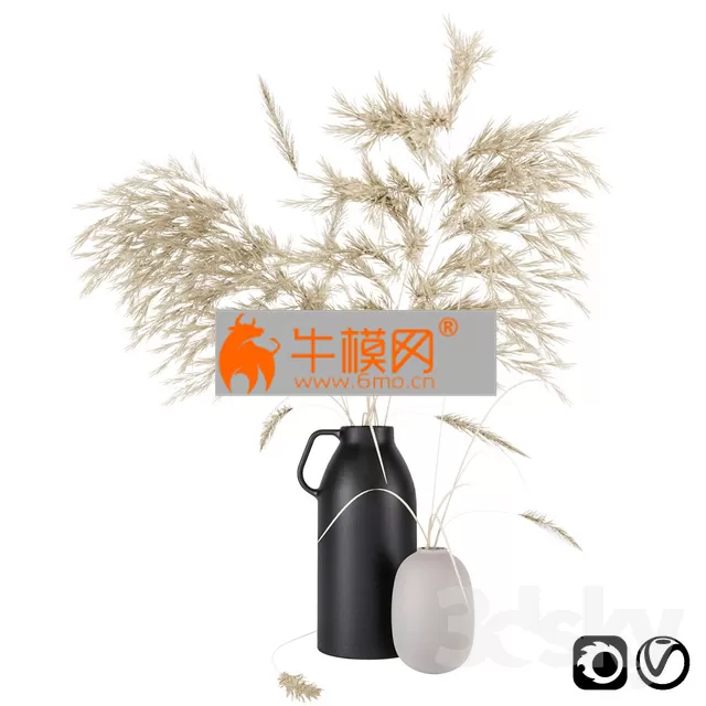 Vases set by H & M with pampas grass – 6661