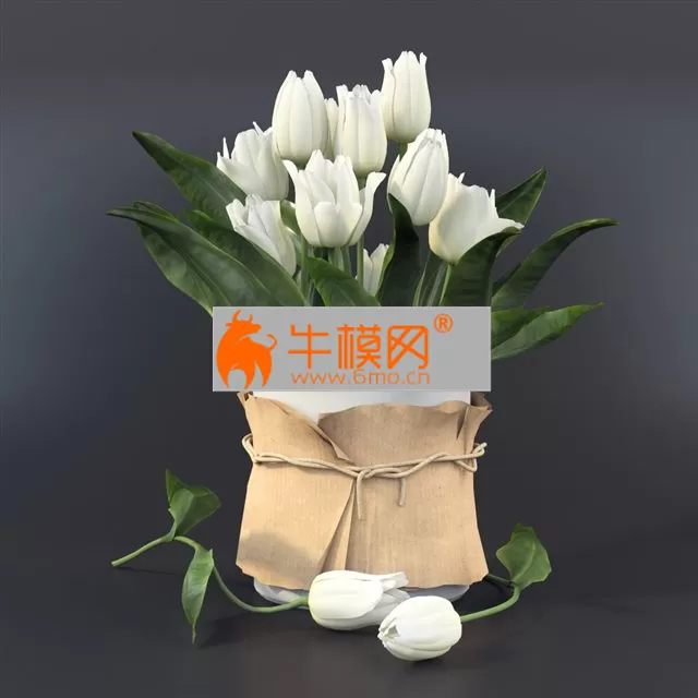 White tulips in a vase – 6666