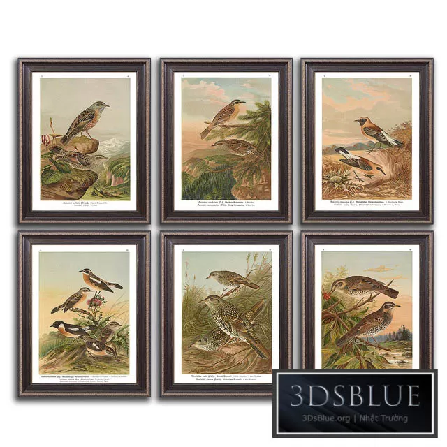 DECORATION – FRAME – 3DSKY Models – 3698