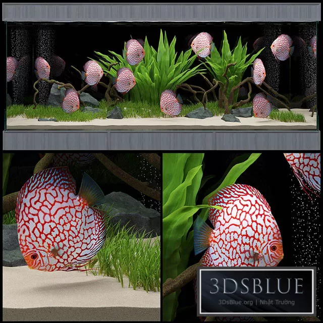 DECORATION – OTHER – 3DSKY Models – 4117