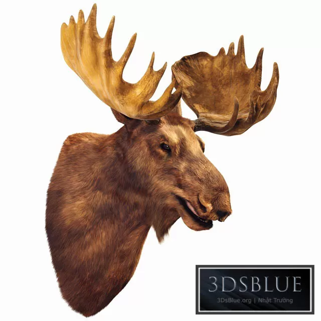 DECORATION – OTHER – 3DSKY Models – 4280