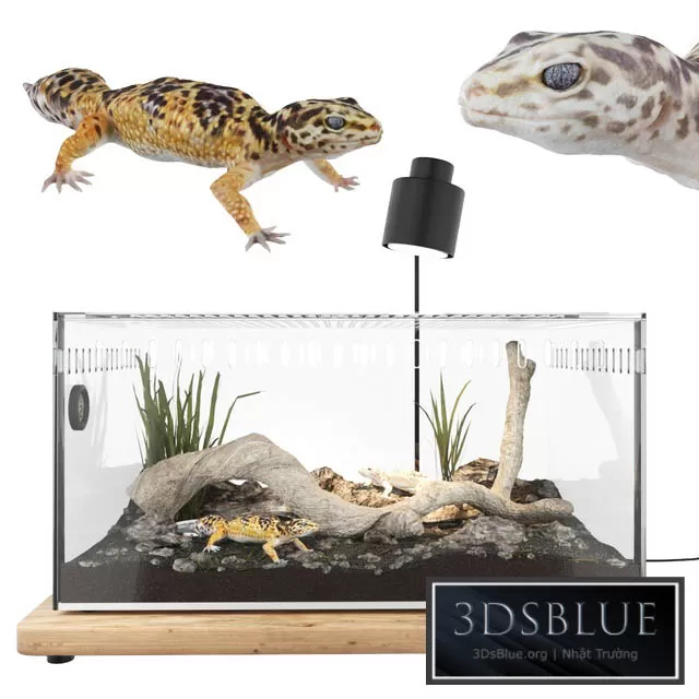 DECORATION – OTHER – 3DSKY Models – 4353