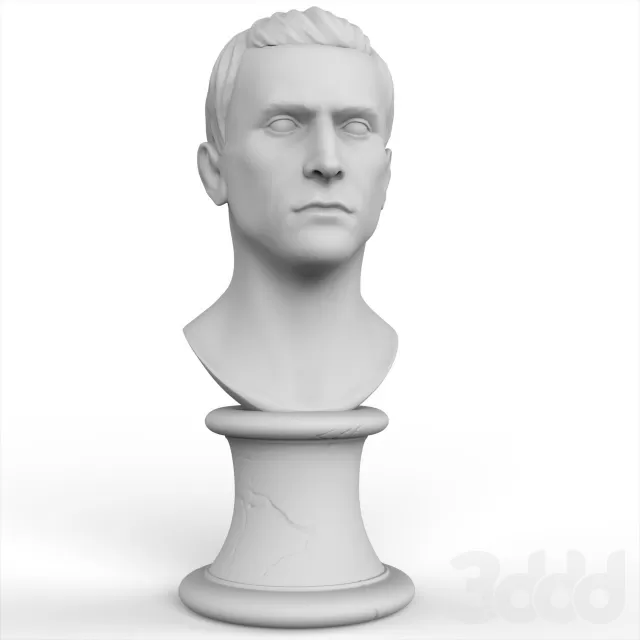 Bust 3d model – 209113