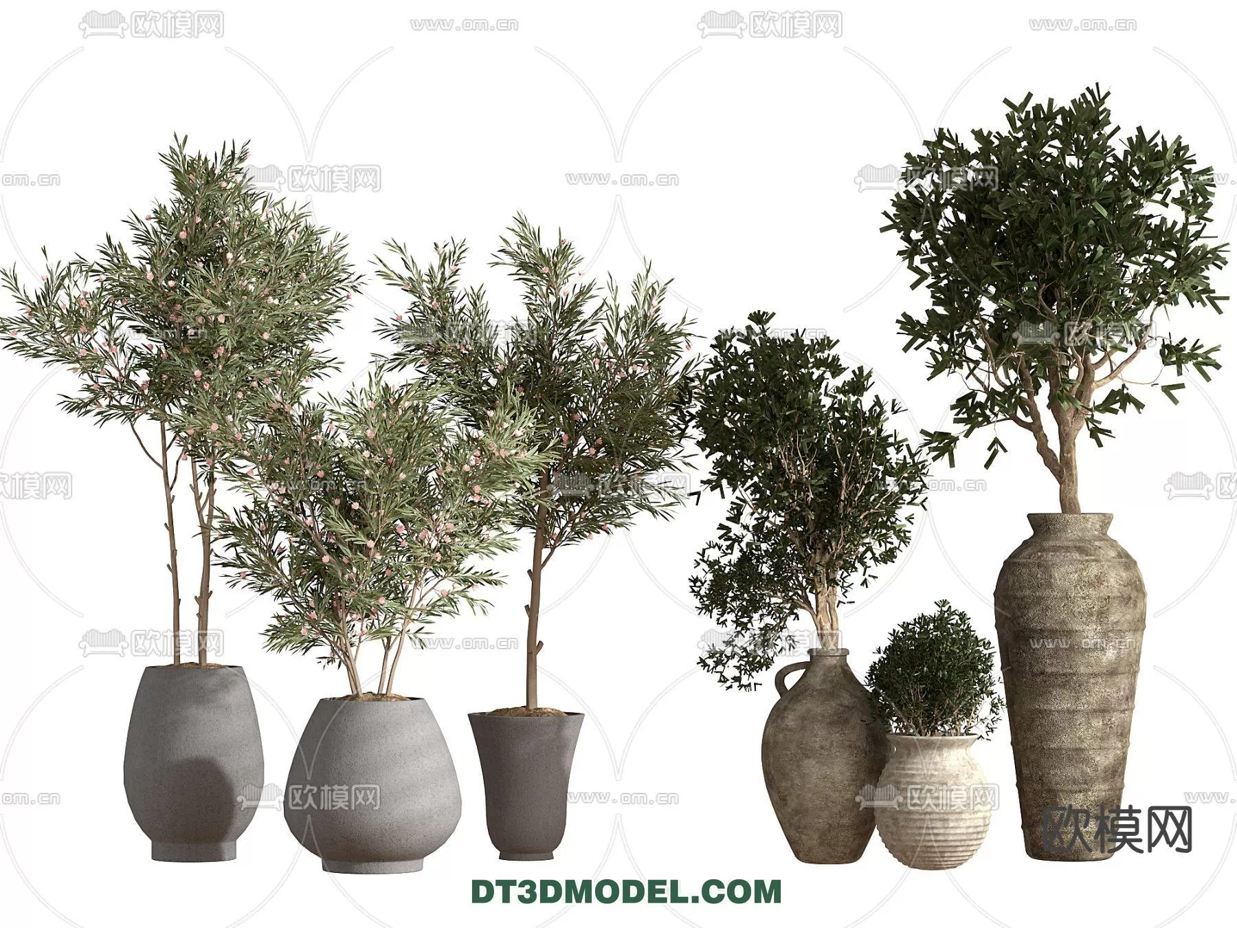 WABI SABI STYLE 3D MODELS – PLANTS – 0001