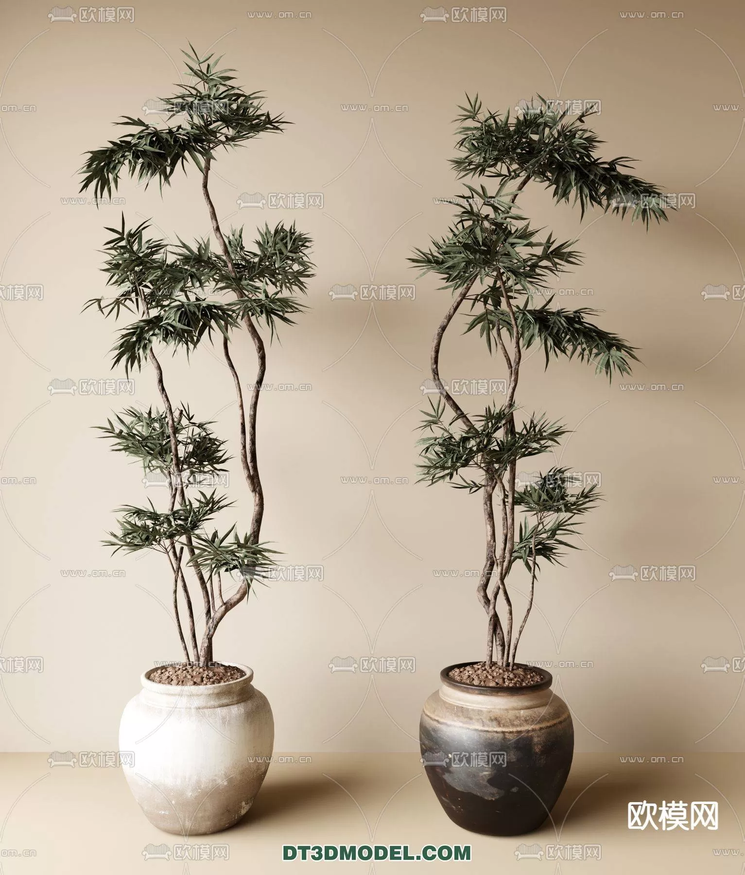 WABI SABI STYLE 3D MODELS – PLANTS – 0003