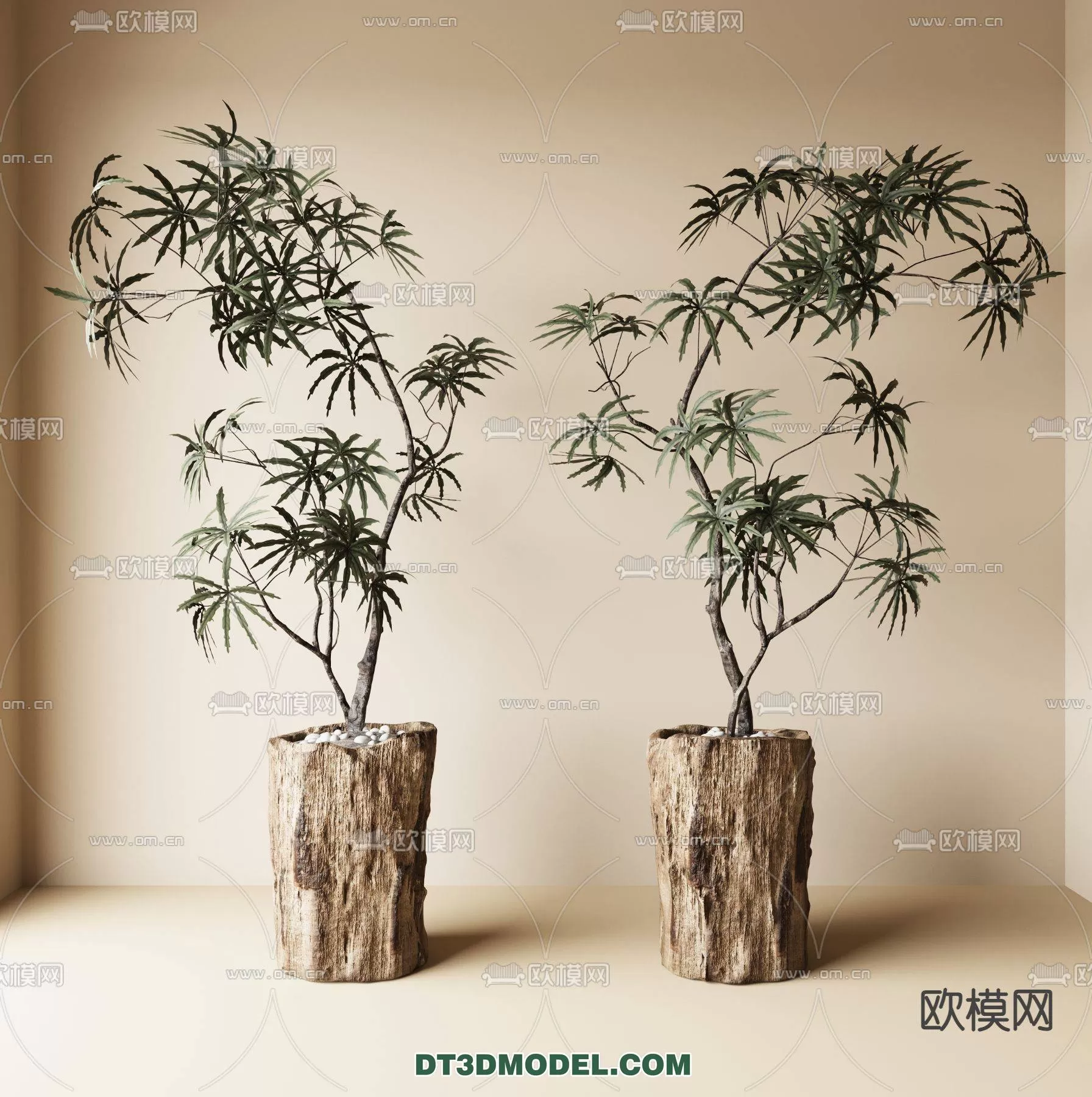 WABI SABI STYLE 3D MODELS PLANTS 0008 3DSKY Decor Helper   3dsky Free Free 3ds Max Models 103627.webp