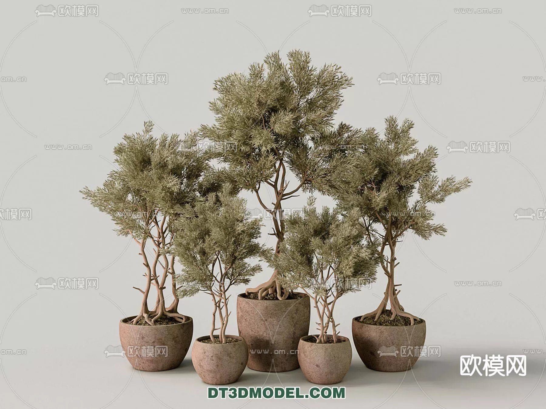 WABI SABI STYLE 3D MODELS – PLANTS – 0010