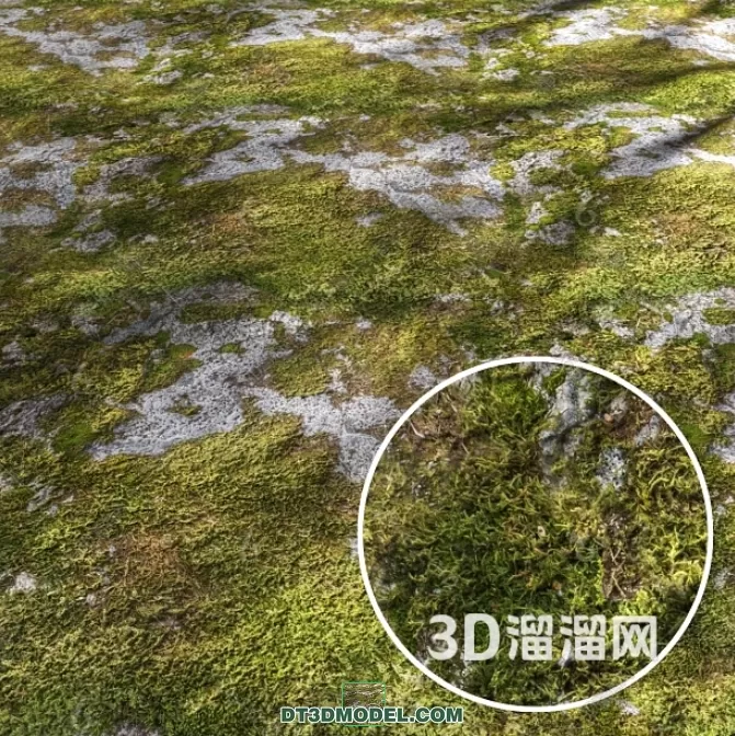 MATERIAL – TEXTURES – GRASS – 001