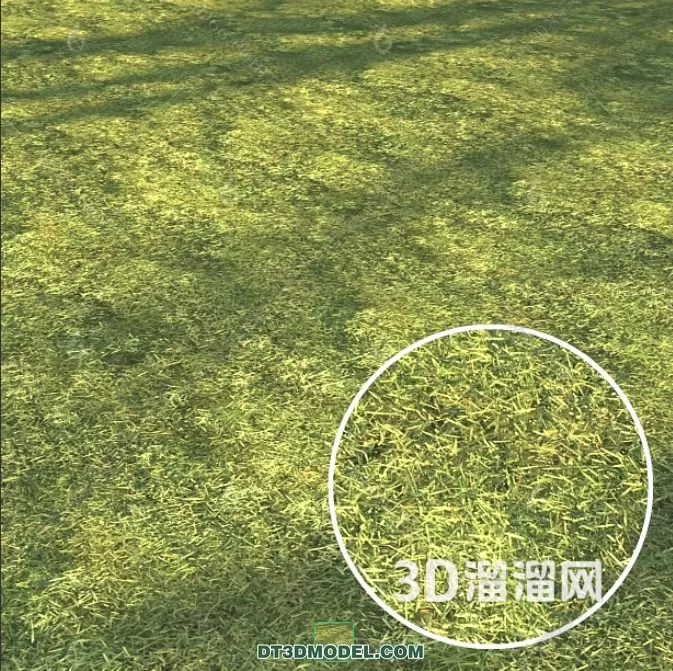 MATERIAL – TEXTURES – GRASS – 002