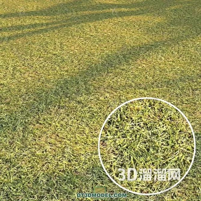MATERIAL – TEXTURES – GRASS – 004